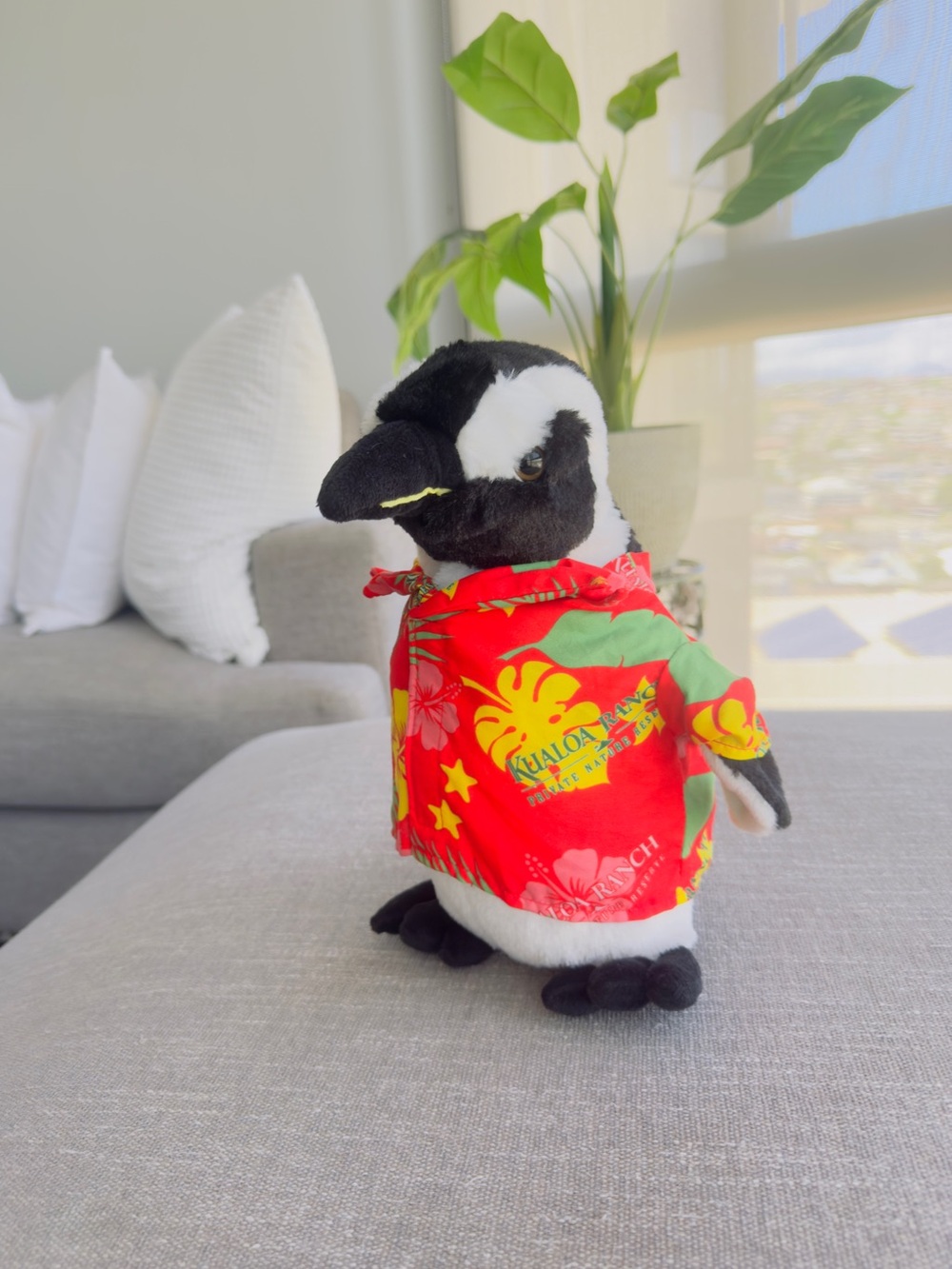 Plush Penguin “Willie” from the Movie 50 First Dates